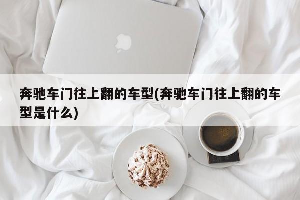 奔驰车门往上翻的车型(奔驰车门往上翻的车型是什么)