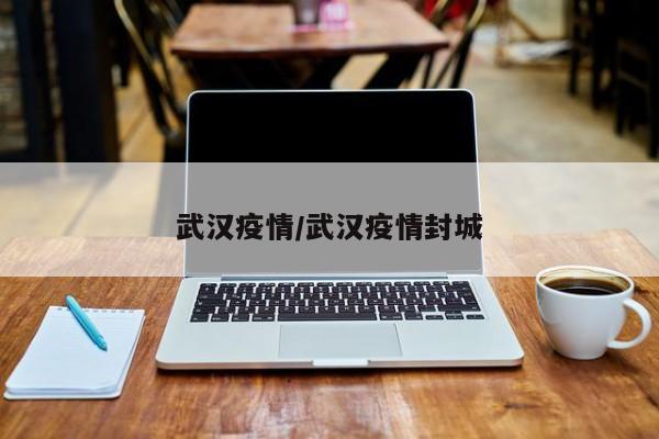 武汉疫情/武汉疫情封城