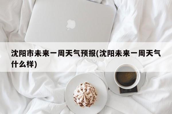 沈阳市未来一周天气预报(沈阳未来一周天气什么样)